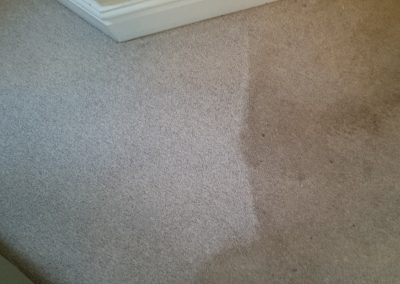 Picture during carpet cleaning